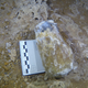 A stalactite fashioned into a hammer.